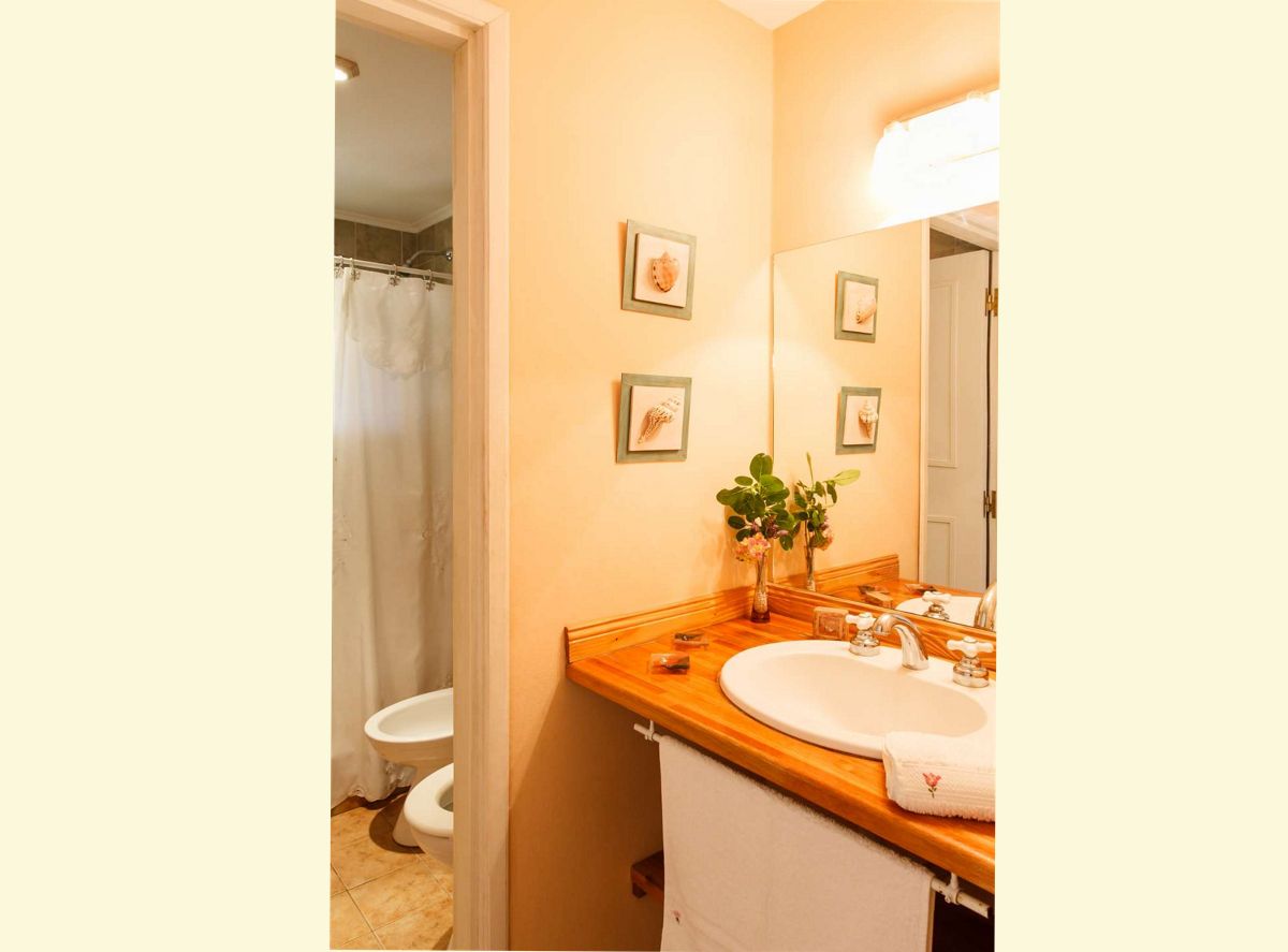 Detalle Baño Unidad 1